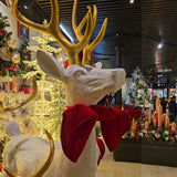 RENO BLANCO CON CUERNOS DORADO 220 CM