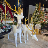 RENO BLANCO CON CUERNOS DORADO 220 CM