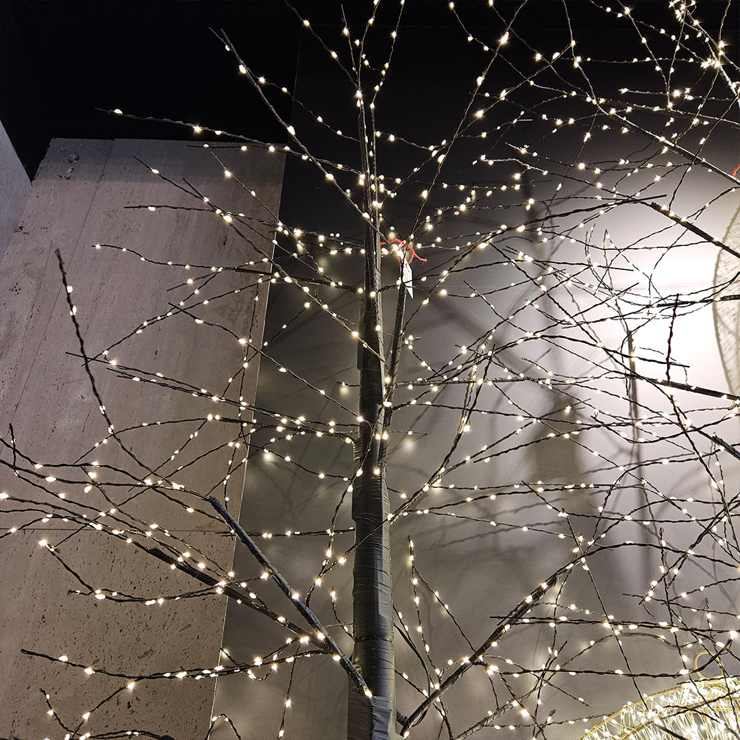 Modelo A árbol negro micropuntos 800 LED color blanco cálido, UL IP44 24V6W 5 150cm 1U/U