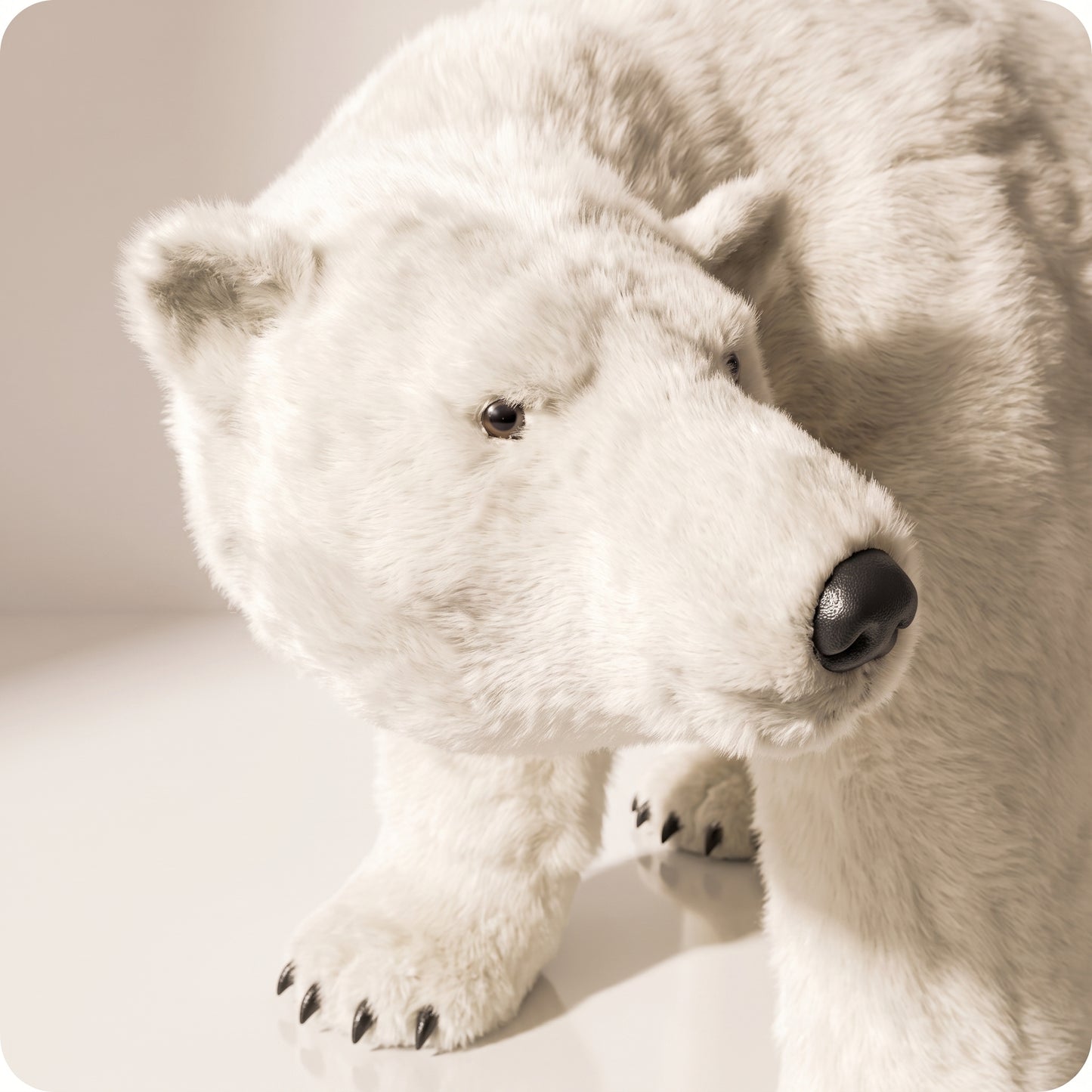 Oso polar bella sin movimiento