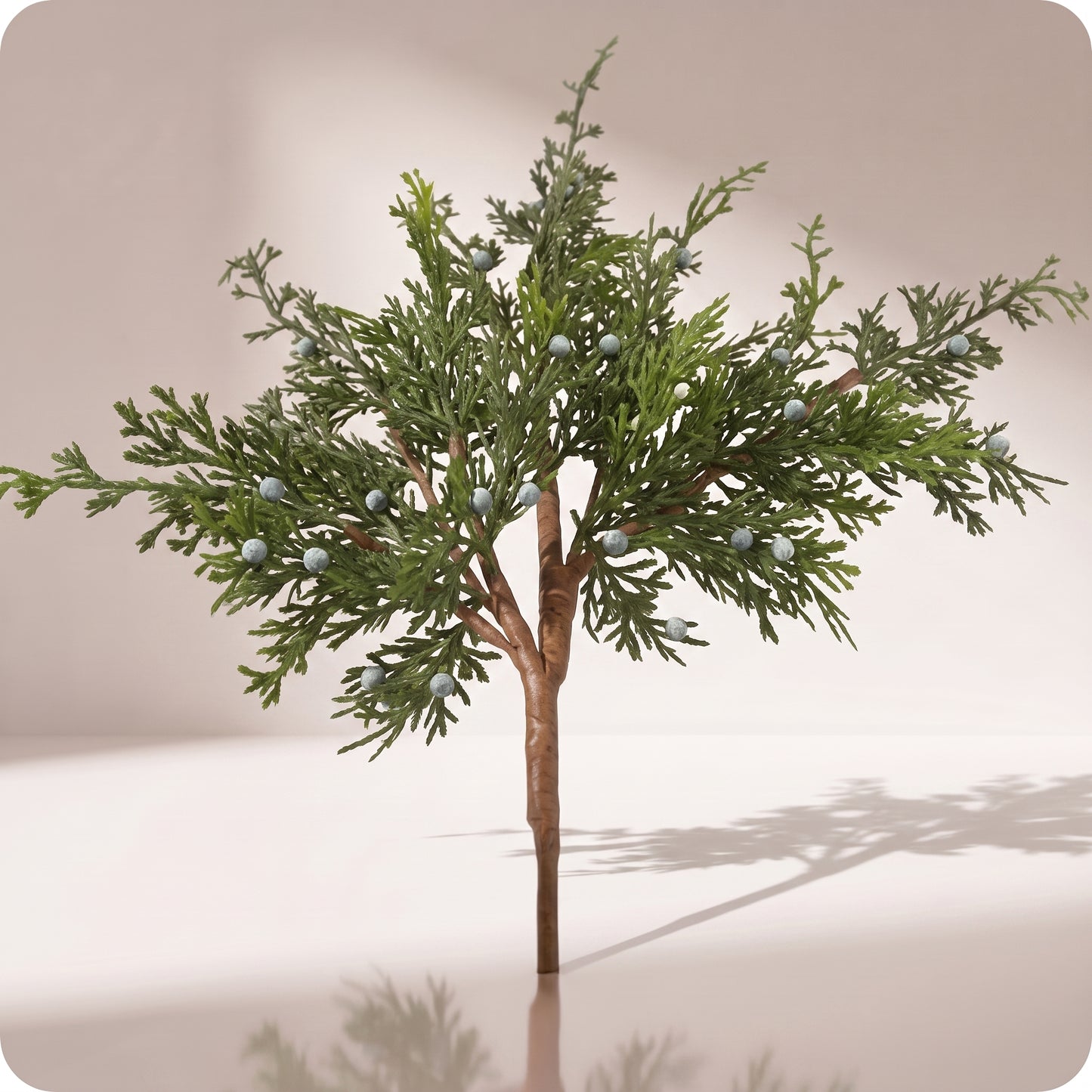 Rama juniper con berry spray