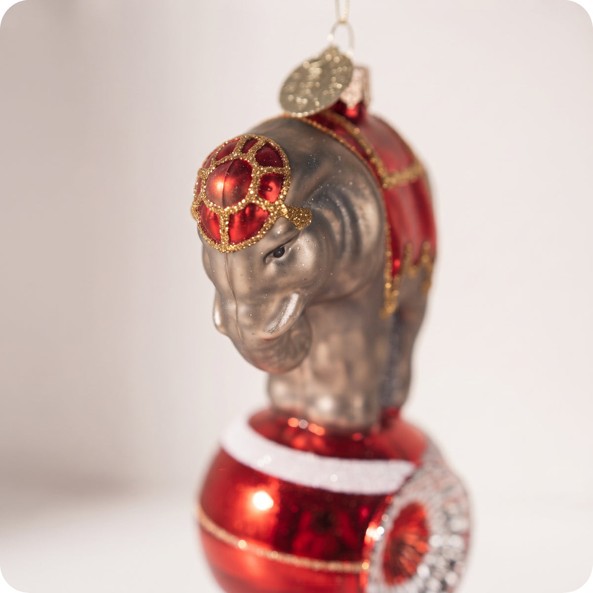 Esfera de elefante de circo