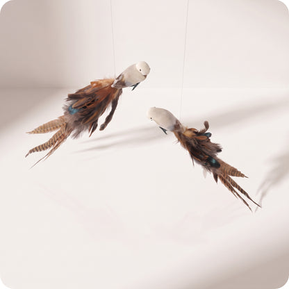 Ave con cola mezcla de plumas con pinzas, mezcla beige marrón