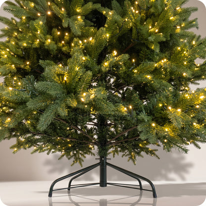 Árbol verde realista con luz calida