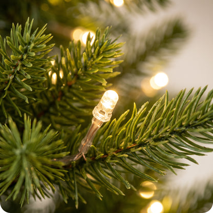 Árbol verde realista con luz calida