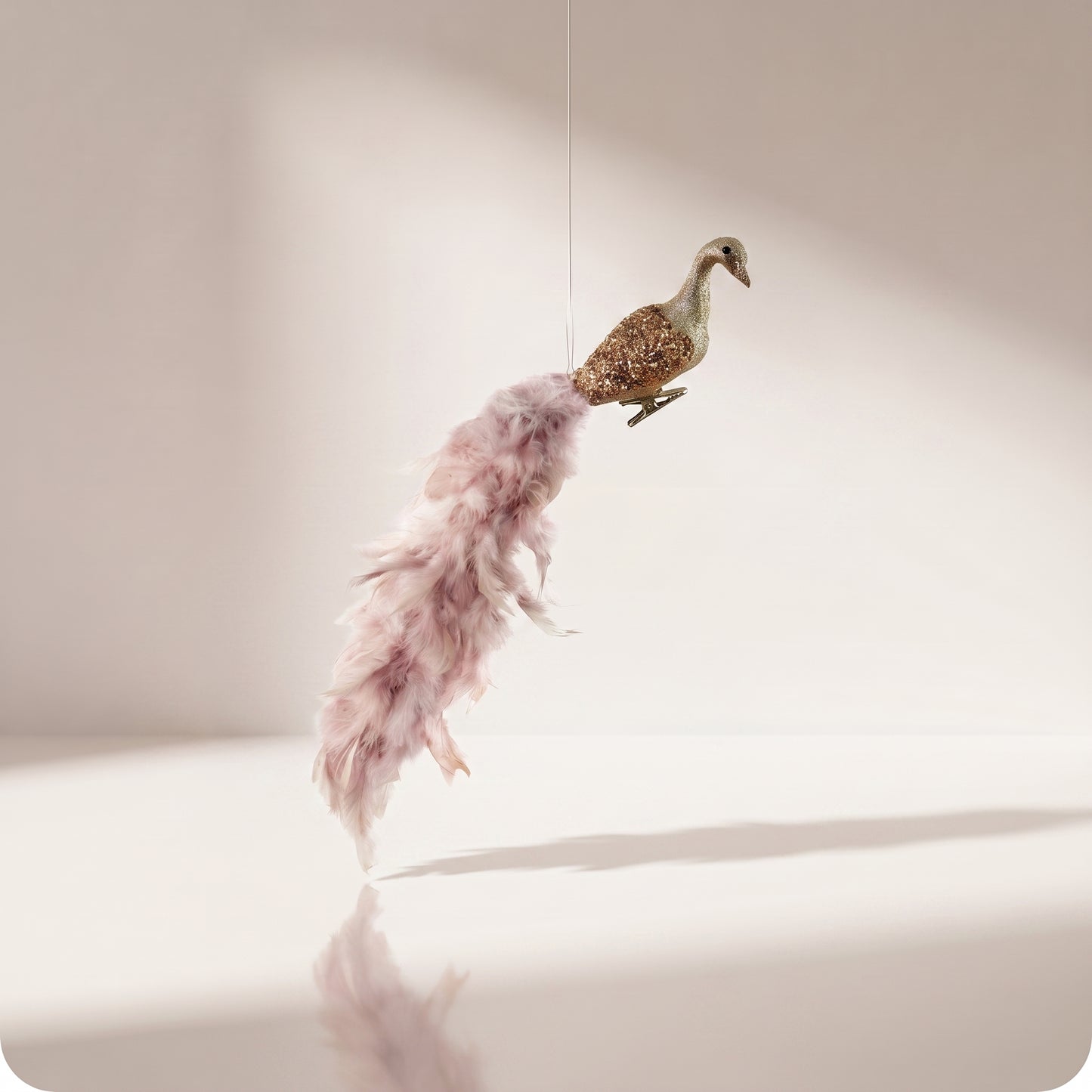 Pájaro Champán de pluma lavanda