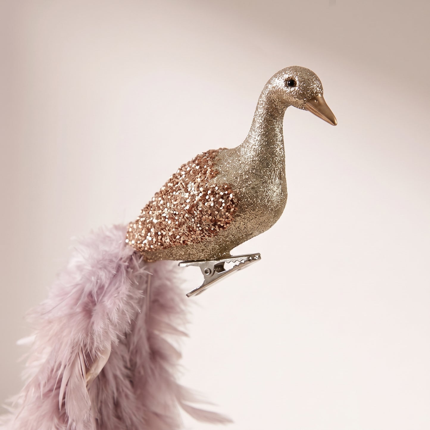 Pájaro Champán de pluma lavanda