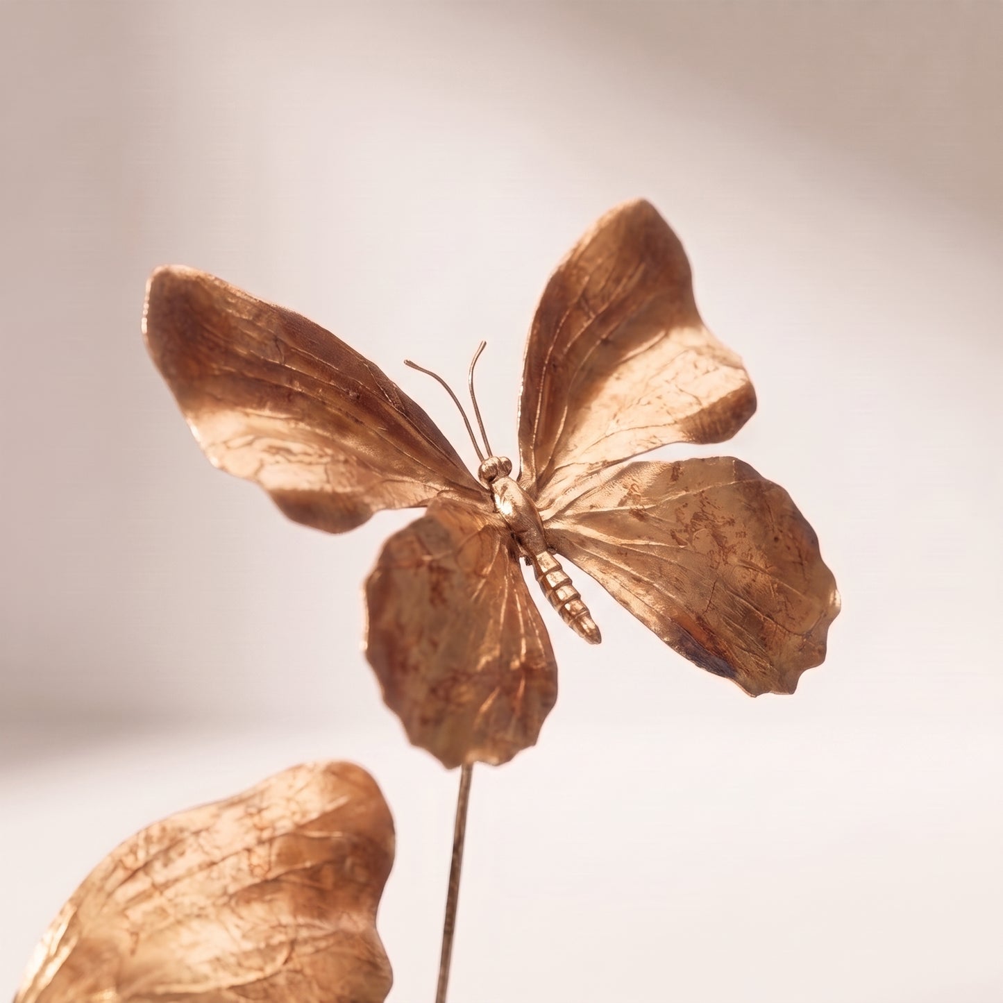 Vara de mariposas doradas