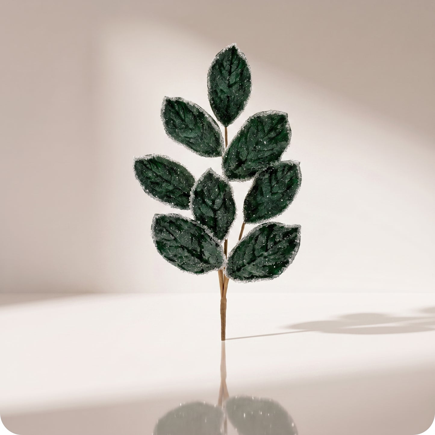 Rama de magnolia verde grande