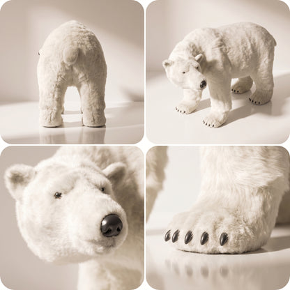 Oso polar bella sin movimiento
