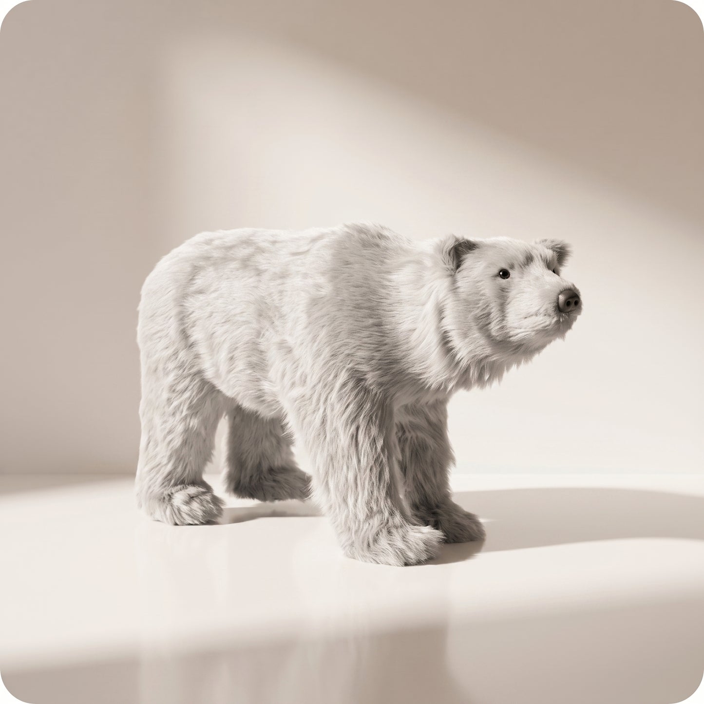 Oso polar pequeño sebas