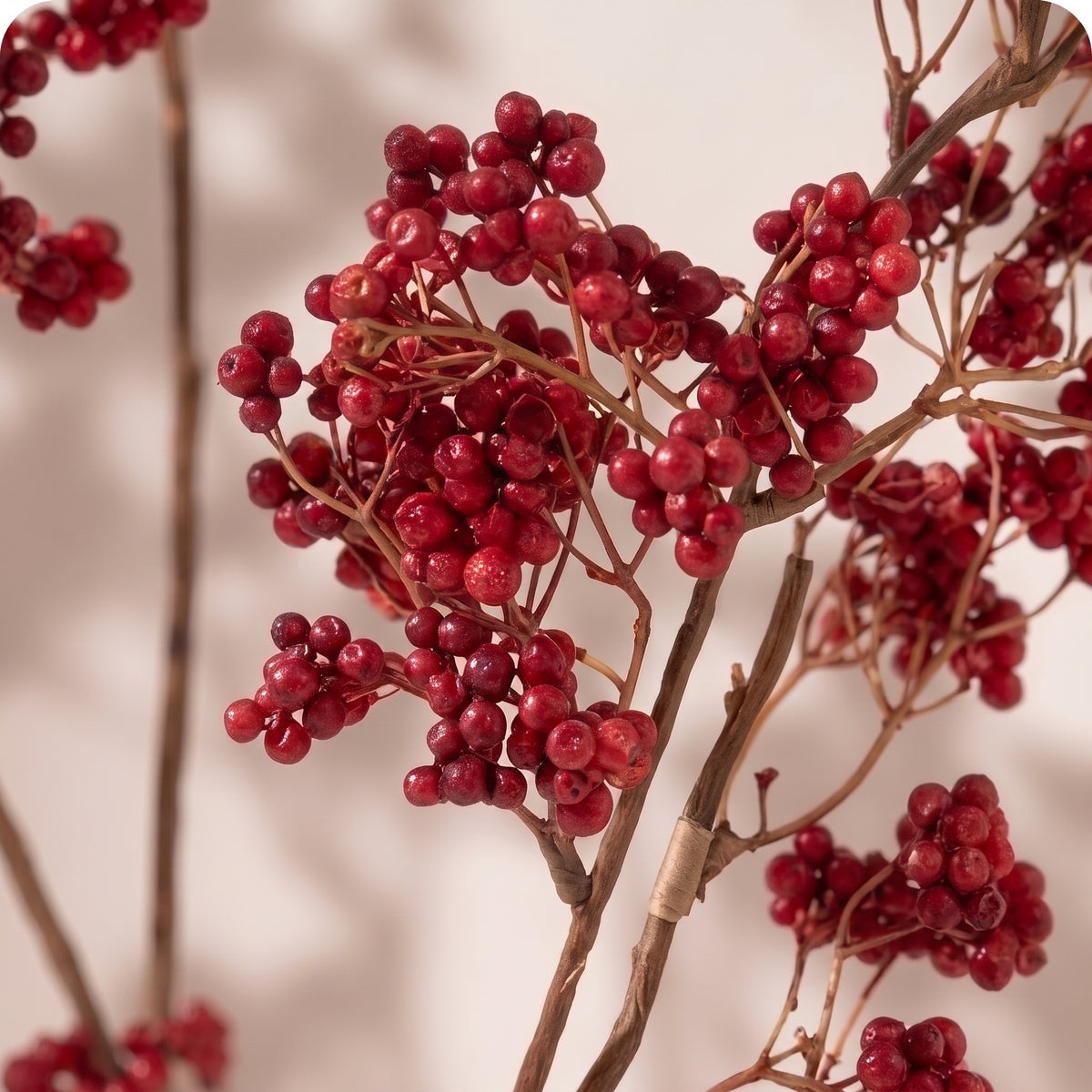 Red Berry Spray
