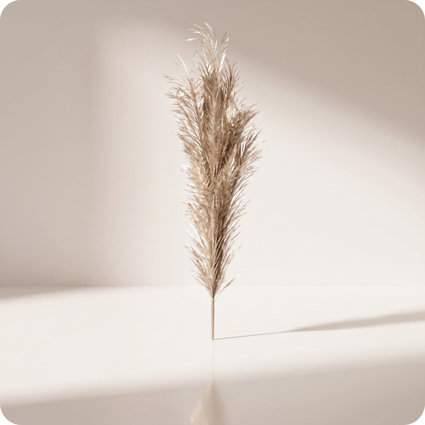 Vara de pluma metálica para césped, champán