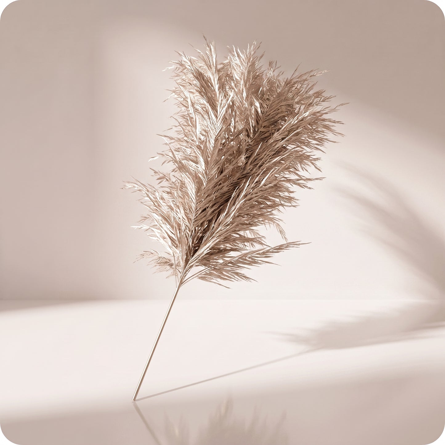 Vara de pluma metálica para césped, champán