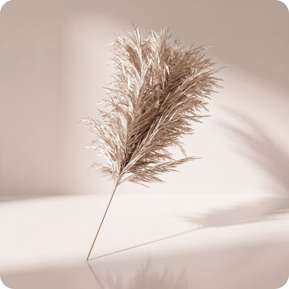 Vara de pluma metálica para césped, champán