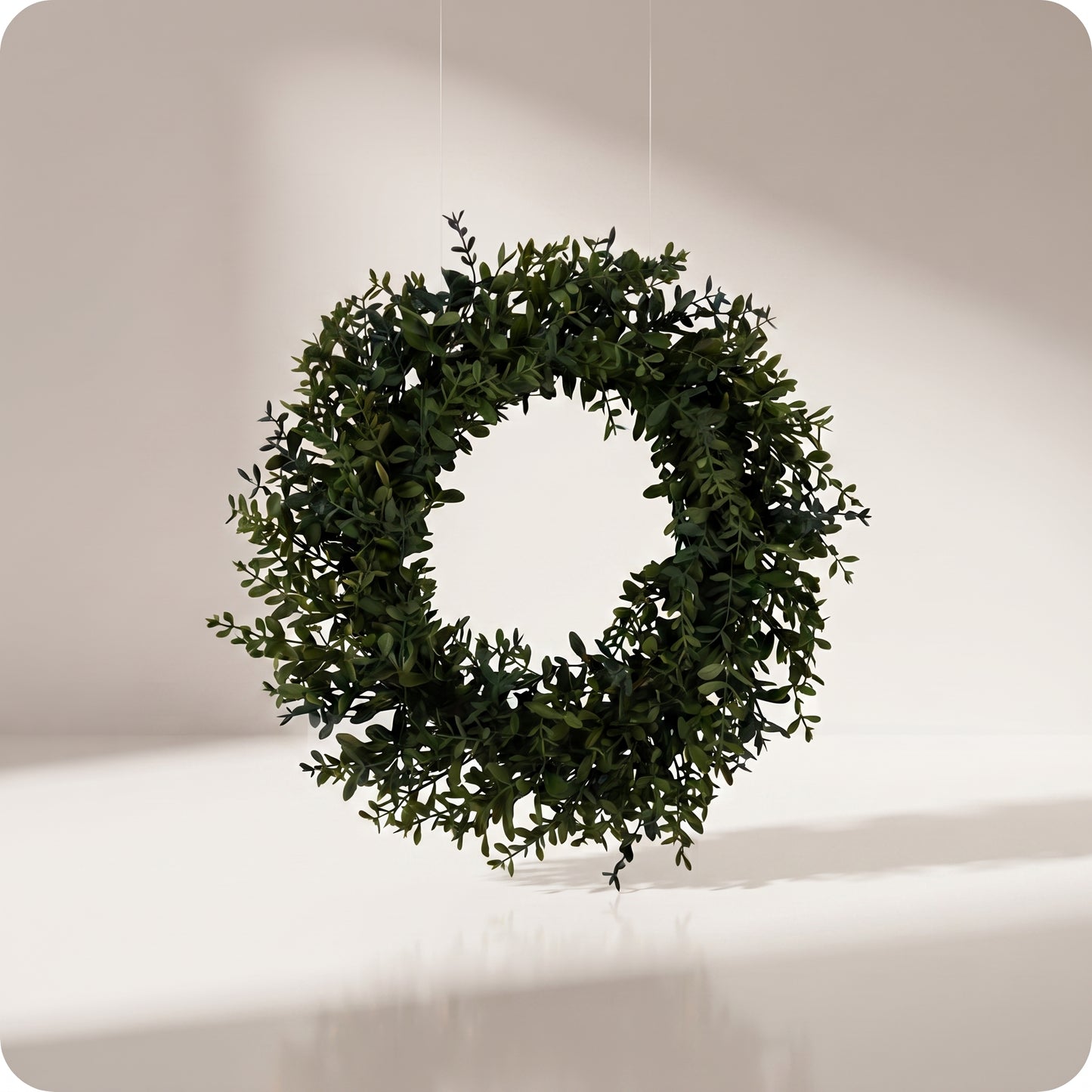 Corona boxwood wreath