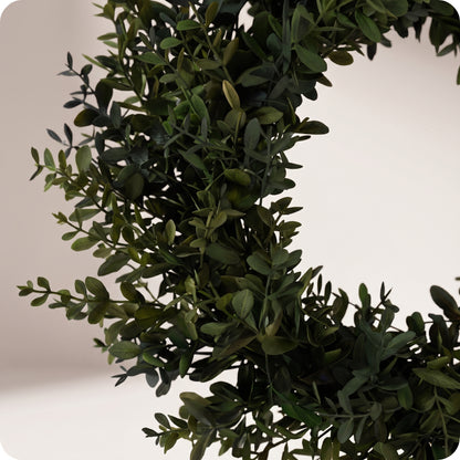 Corona boxwood wreath