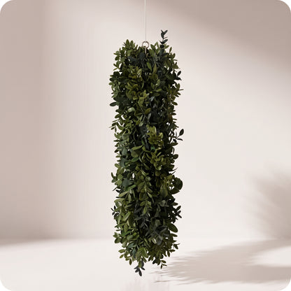 Corona boxwood wreath