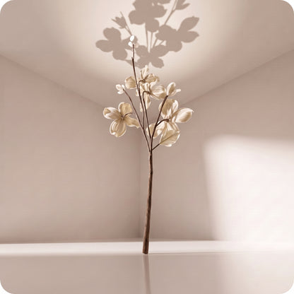 Vara velvet dogwood