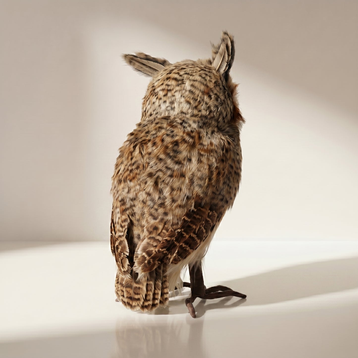 Buho speckeld hoot