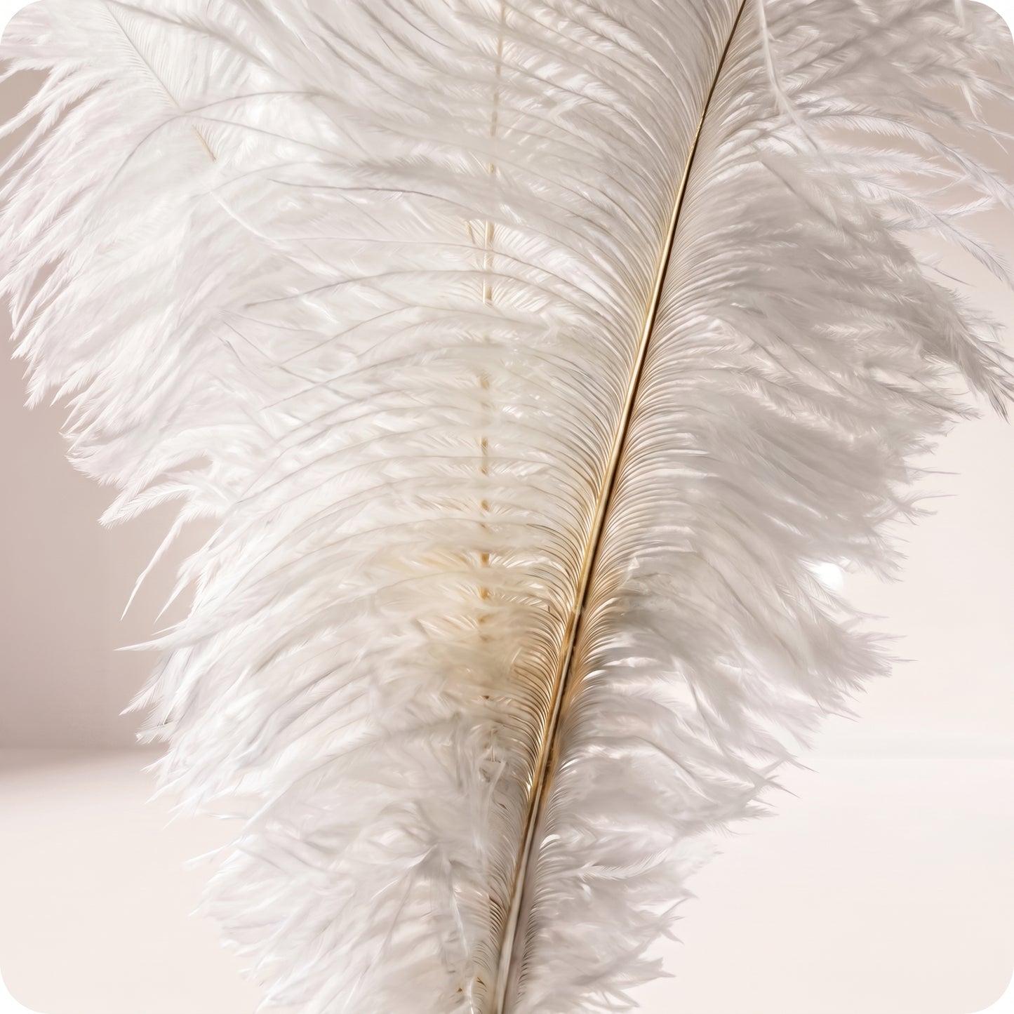 Vara de plumas blancas