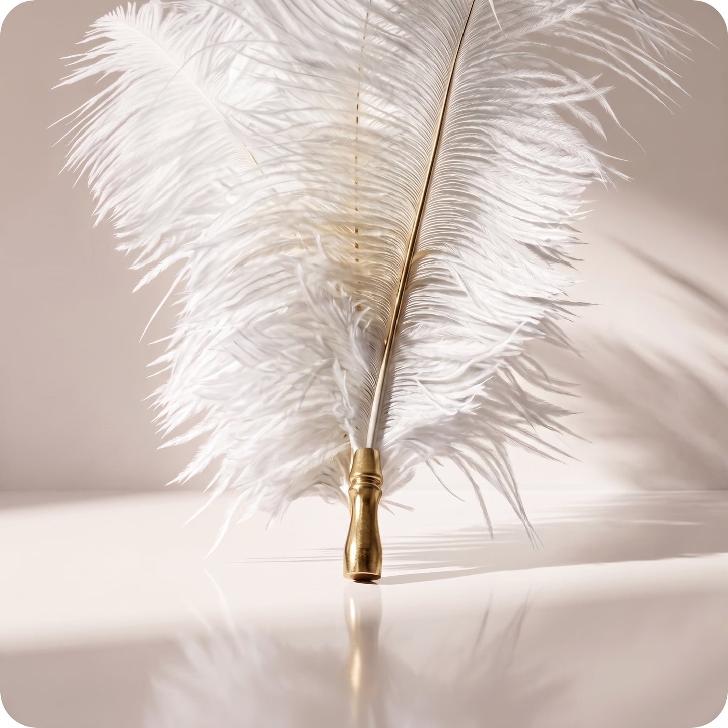 Vara de plumas blancas