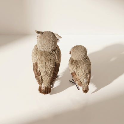 Búho de pluma de chalet de invierno