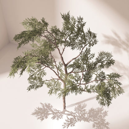 Rama woodland cedar spray