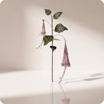 Rama de hoja morning glory