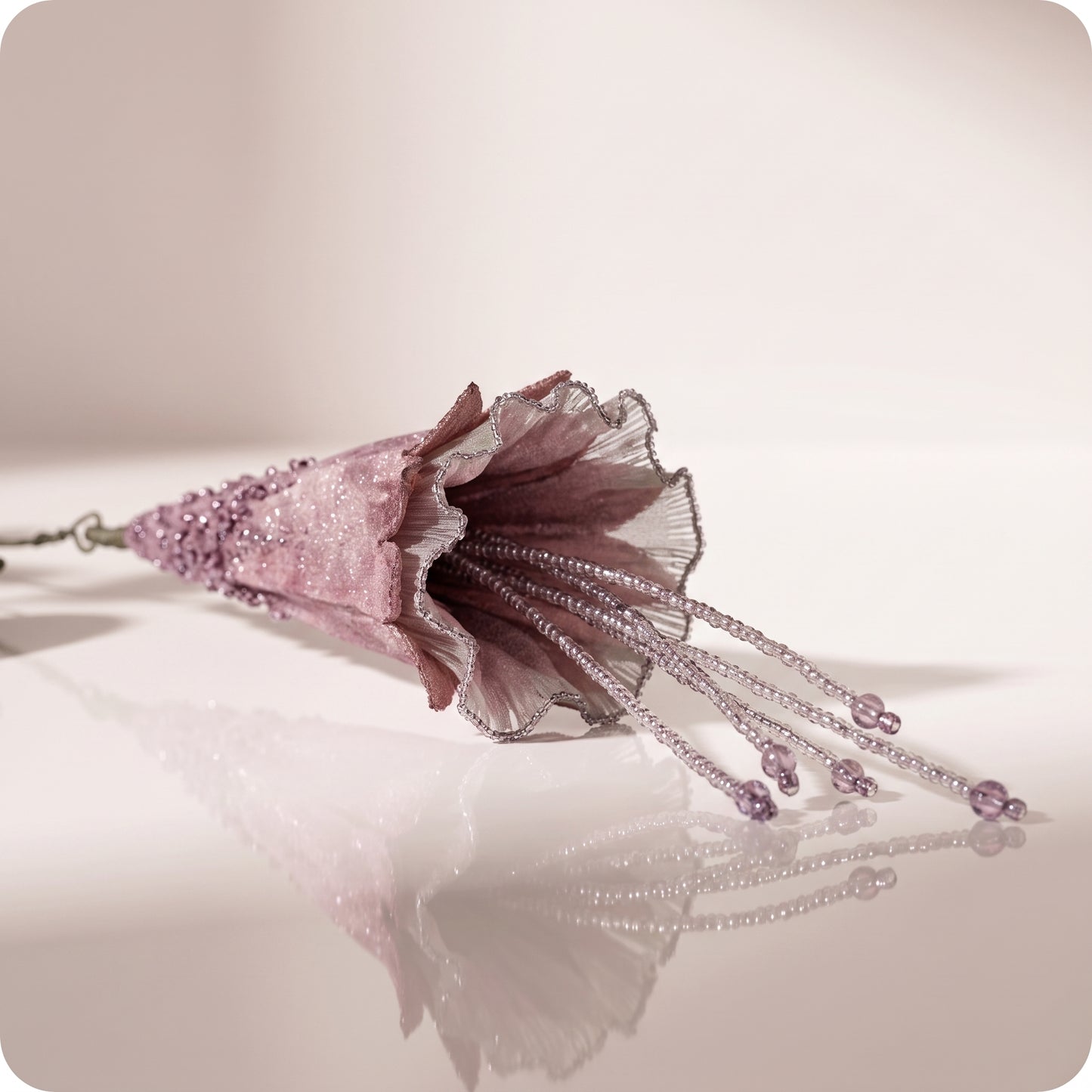 Rama de hoja morning glory