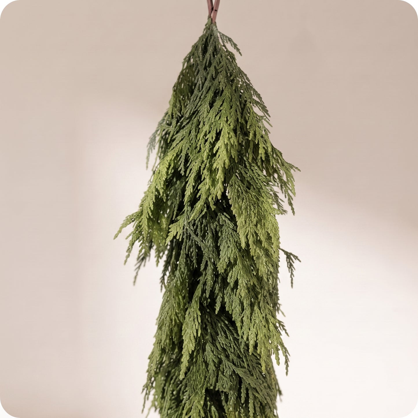 Guirnalda de pino natural cedar premium