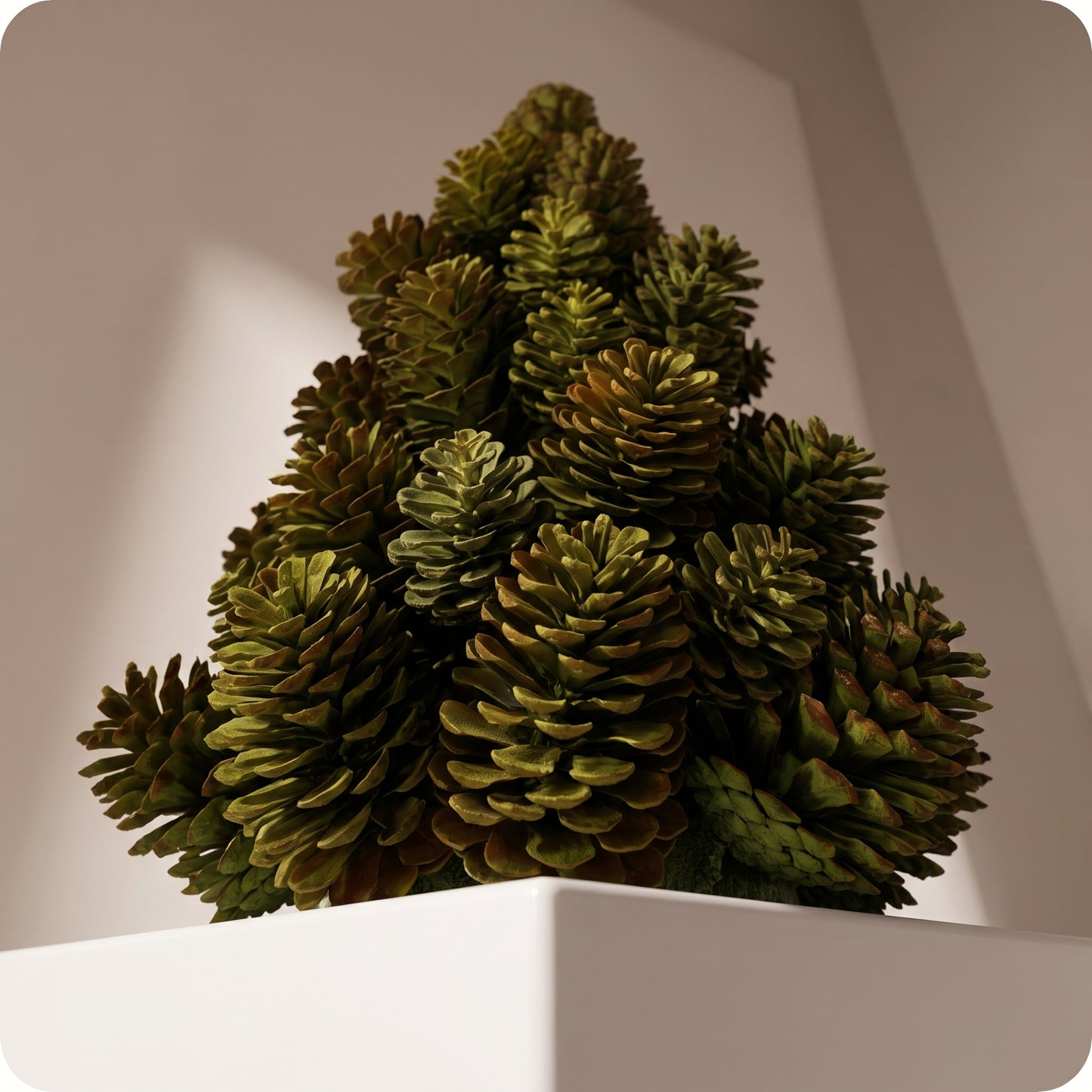 Árbol de piñas verde ch