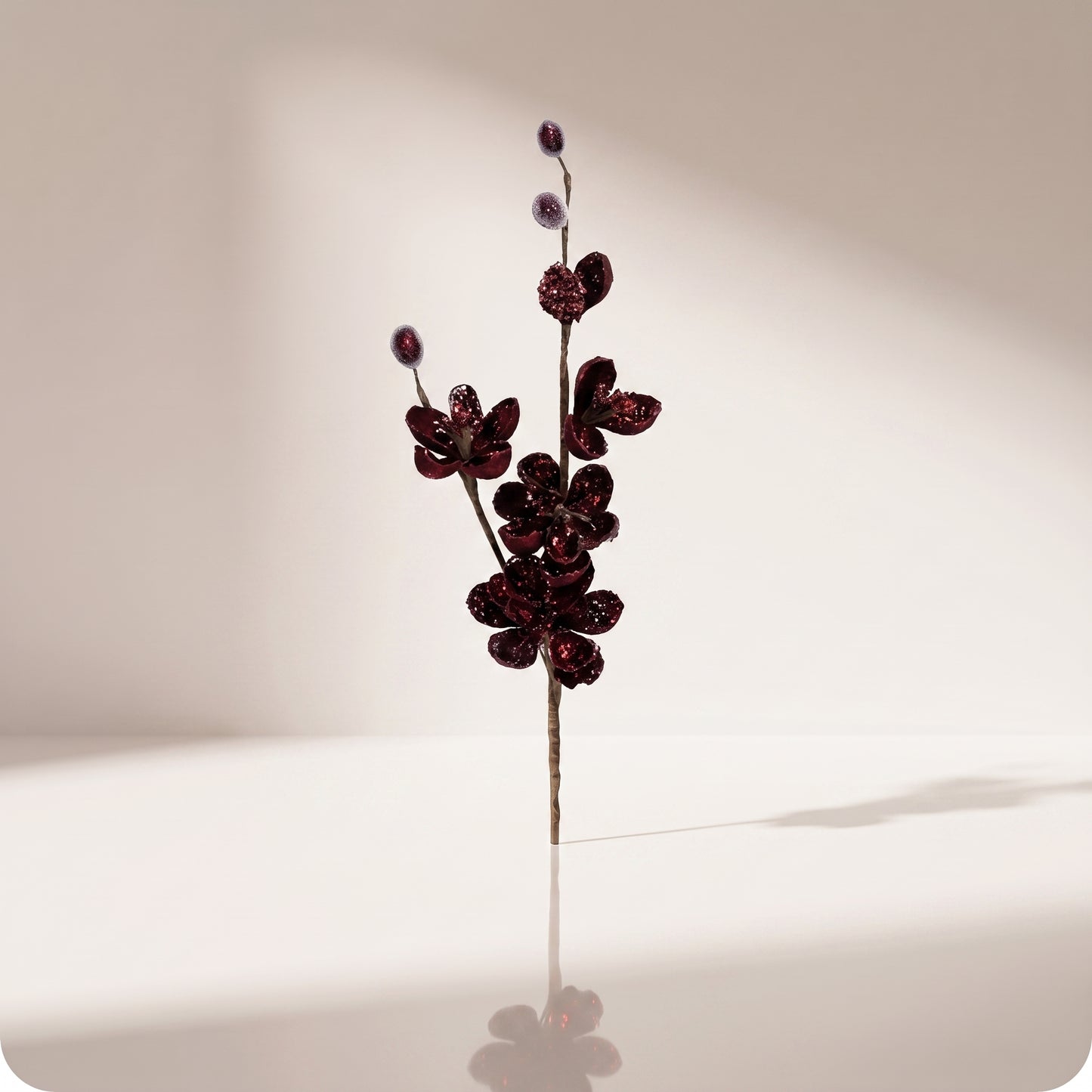 Vara de mini magnolia silvestre borgoña