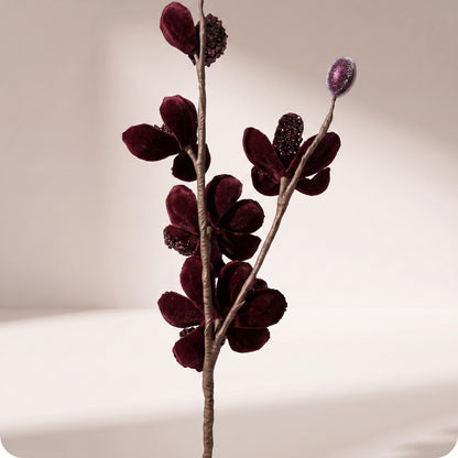 Vara de mini magnolia silvestre borgoña