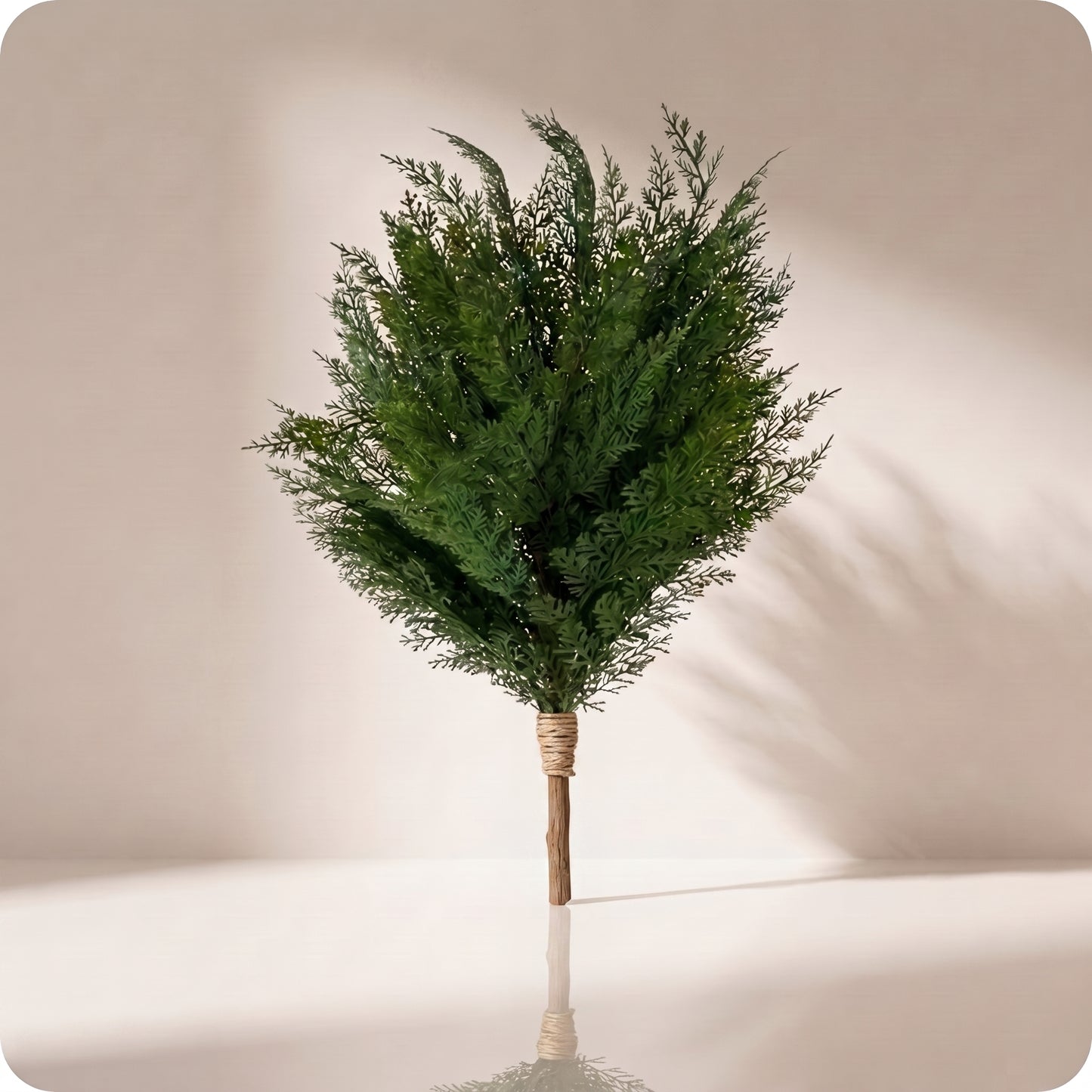 Rama verde de arborvitae bundle with jute tie