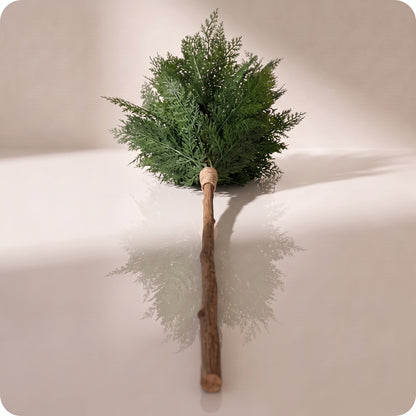 Rama verde de arborvitae bundle with jute tie