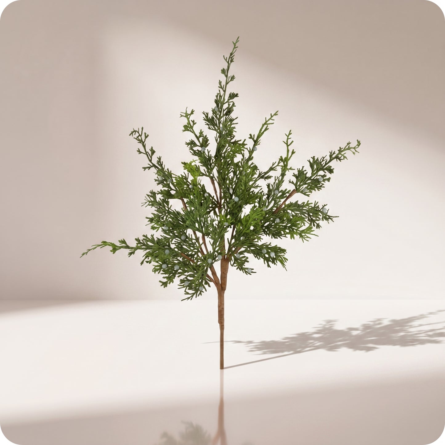 Rama juniper con berry spray