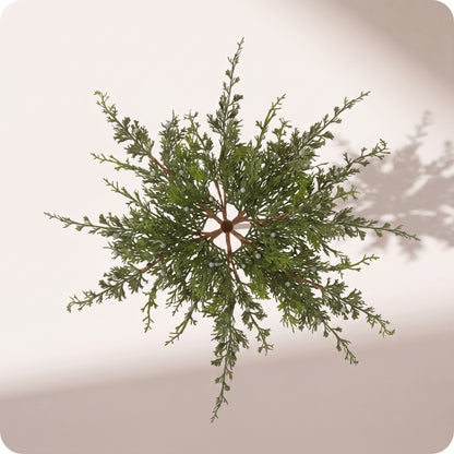 Rama juniper con berry spray